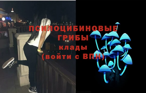 спиды Наволоки