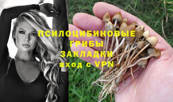 спиды Наволоки