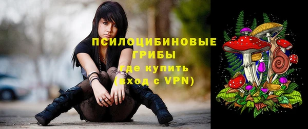 а пвп мука Навашино